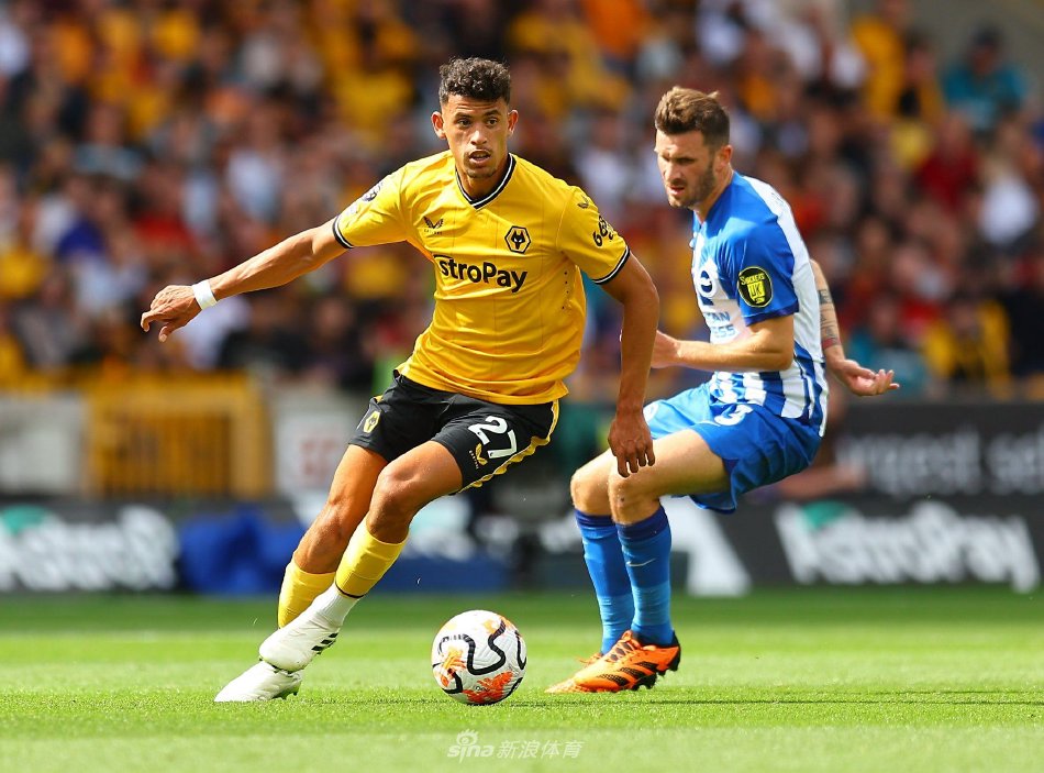 球比赛的过 球比赛的过